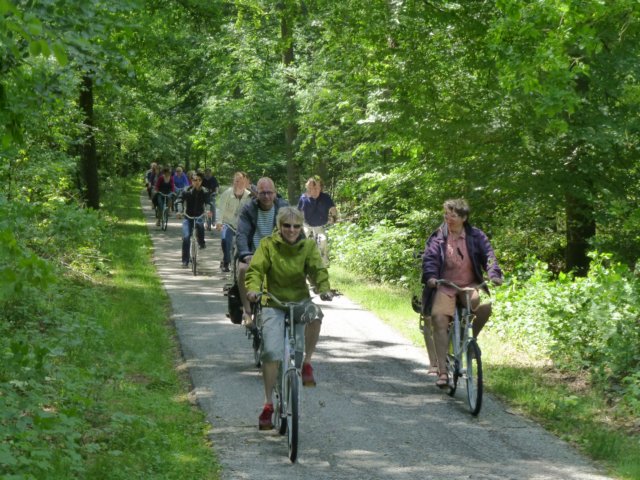 fietseninhetpark.jpg