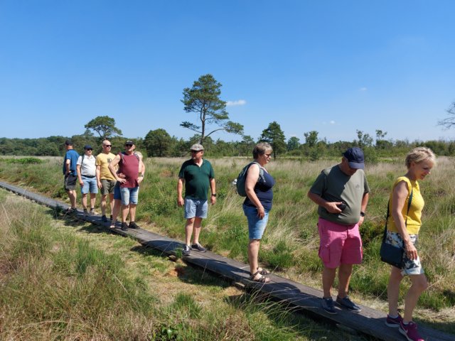 wandelingdoordenatuur.jpg