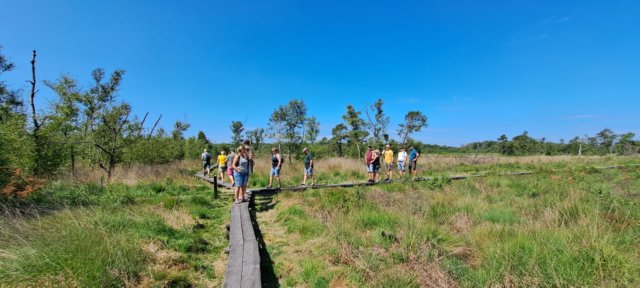 wandelingdoordenatuur10.jpg